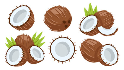 Set of coconut icons isolated on white background. Cartoon style. Vector illustration