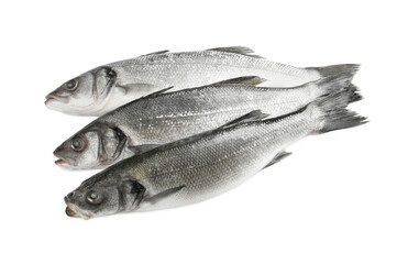 Fresh sea bass fish on white background, top view