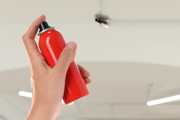 Woman spraying insect aerosol on fly in room, closeup