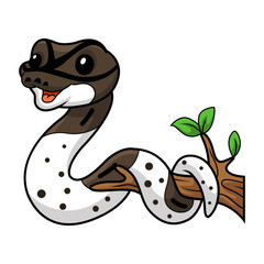 Cute oreo pied ball python cartoon on tree branch