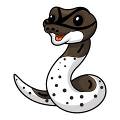 Cute oreo pied ball python cartoon
