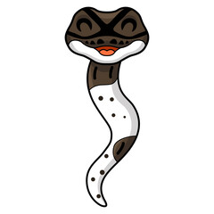 Cute oreo pied ball python cartoon