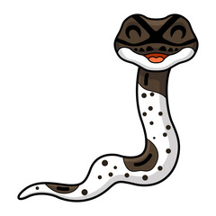 Cute oreo pied ball python cartoon