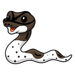 Cute oreo pied ball python cartoon