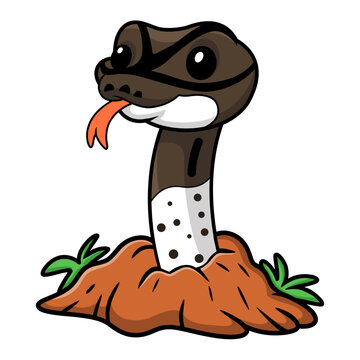 Cute oreo pied ball python cartoon out from hole
