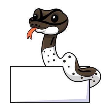 Cute oreo pied ball python cartoon with blank sign
