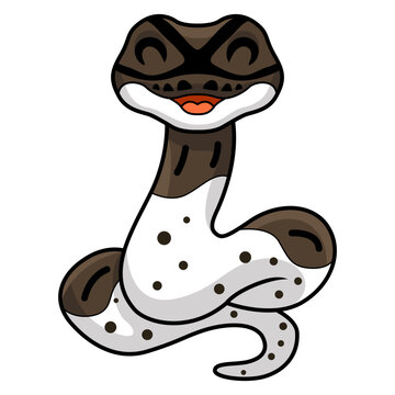 Cute oreo pied ball python cartoon