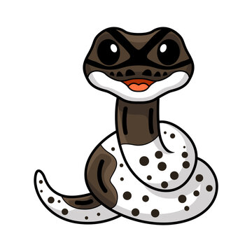 Cute oreo pied ball python cartoon