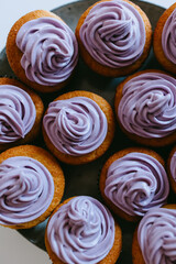 A tray of blueberry cupcakes with purple icing, top view