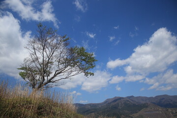 Obraz premium 稲取細野高原