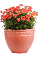 flowers in a pot isolated on transparent background, generative ai
