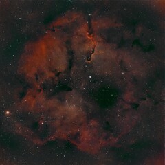 The Elephant Trunk Nebula is a dense region of interstellar gas and dust located in the...