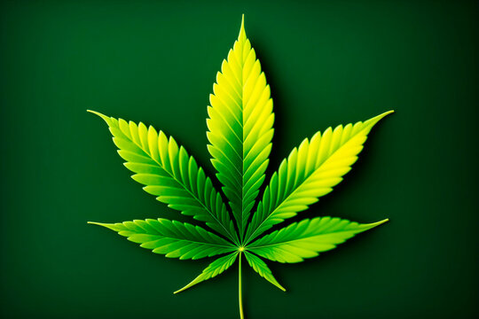 Cannabis Marijuana Green Leaf. Generative AI