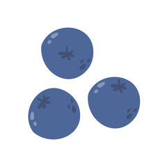 fresh summer berries blueberries