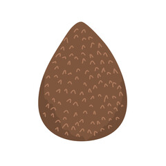 snake fruit or salak