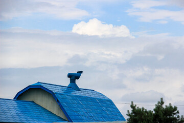 農家の倉庫の青い屋根
