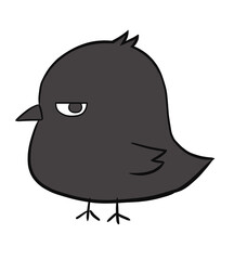 目つきの悪いカラス