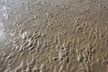 Structures in the sand in back-lighting