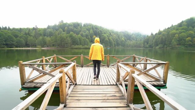 Aerial drone shot of a man walking at the landscape in Artvin Karagol.