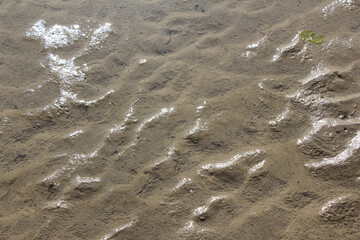 Structures in the sand in back-lighting