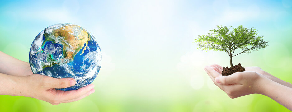  world environment and earth day, Two human hands holding big tree and earth globe over green and blue sky nature background. Elements of this image furnished by NASA