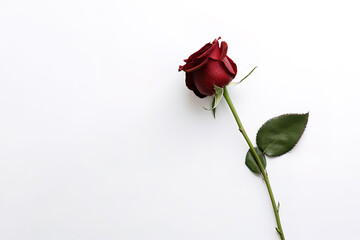 Beautiful red rose as a symbol of love on white background with copy space. Created with Generative AI Technology
