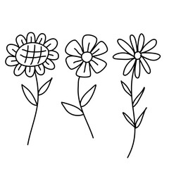 illustration of a flower white background