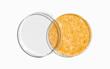 Carnauba Wax in Petri dish with plastic lid on laboratory table. Top view