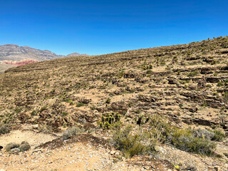 landscape in the desert
