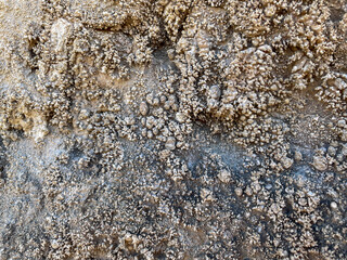 Textured rock background