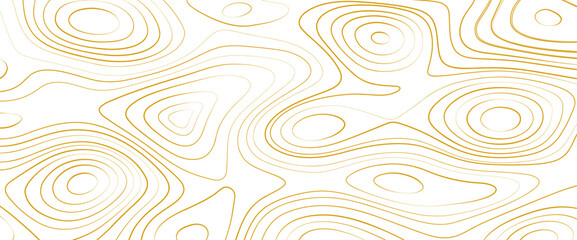 Fototapeta na wymiar topographic lines luxury background, white and golden horizontal template. Handmade watercolor on white background. Elegant gold veins and splashes wallpaper.