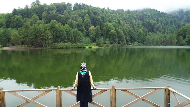 Aerial drone shot of a woman looking at the landscape in Artvin Karagol.