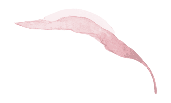 Watercolor wedding leaf branch