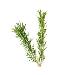 fresh rosemary on transparent png
