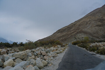 beautiful scenery: mountains and trees in Yarab Tso valley, Leh Ladakh - India