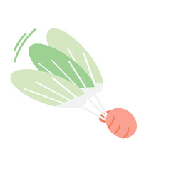 people get wet in the summer