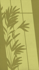 The light from the window shines on the wall