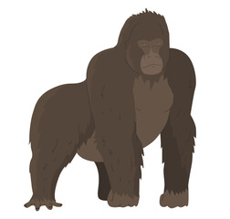 Gorilla, genus of apes. The largest representative of primates. Images for nature reserves, zoos and children's educational paraphernalia. Vector illustration. Isolated object.