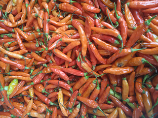 red hot chili peppers in traditional market
