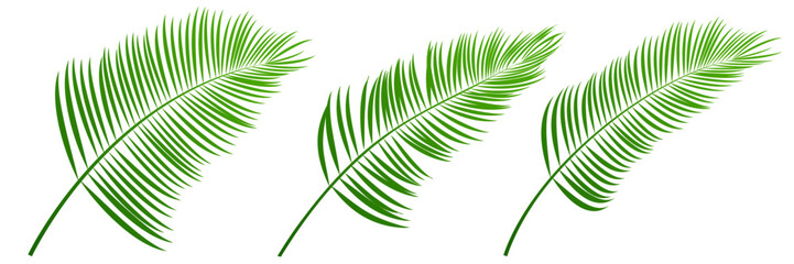 Obraz premium ヤシの葉 観葉植物 夏 アイコン