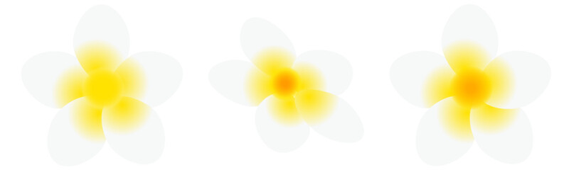 プルメリア　花　夏　アイコン