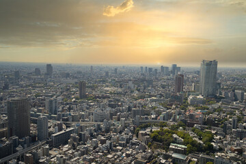 Buildings in the setting sun in Tokyo