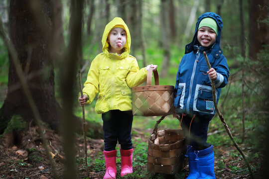 Children go to the forest for mushrooms