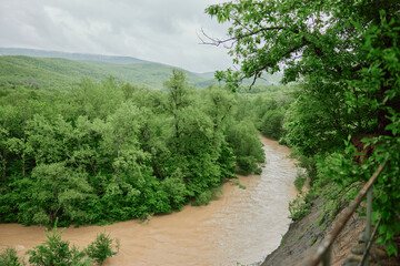mountain river after rain flows in a forest area