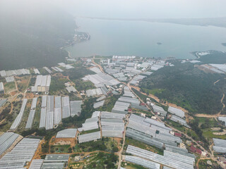 Antalya region greenhouse cultivation, greenhouse cultivation, production and rich agricultural regions