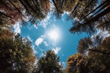 A picture of the clear daytime sky with a view of lying