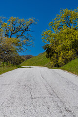 Obraz premium Country road in spring time