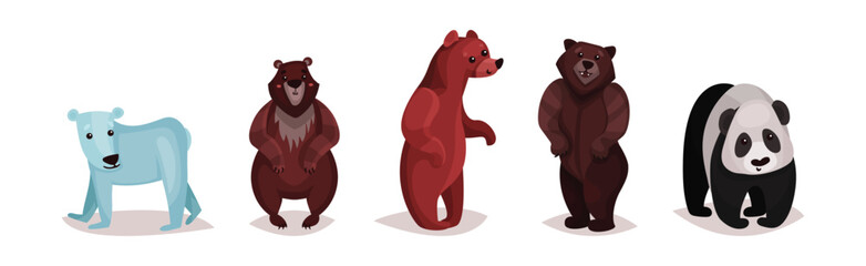 Polar Bear, Panda and Grizzly as Carnivore Animal Vector Set
