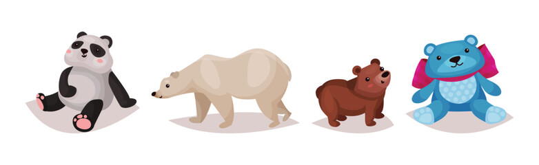 Obraz na płótnie Canvas Polar Bear, Panda and Grizzly as Carnivore Animal Vector Set