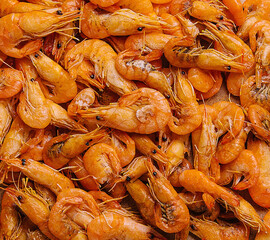 Small cooked shrimp on wooden tray